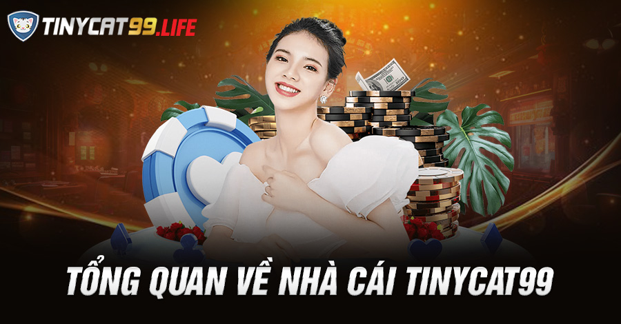 Tổng quan về nhà cái Tinycat99